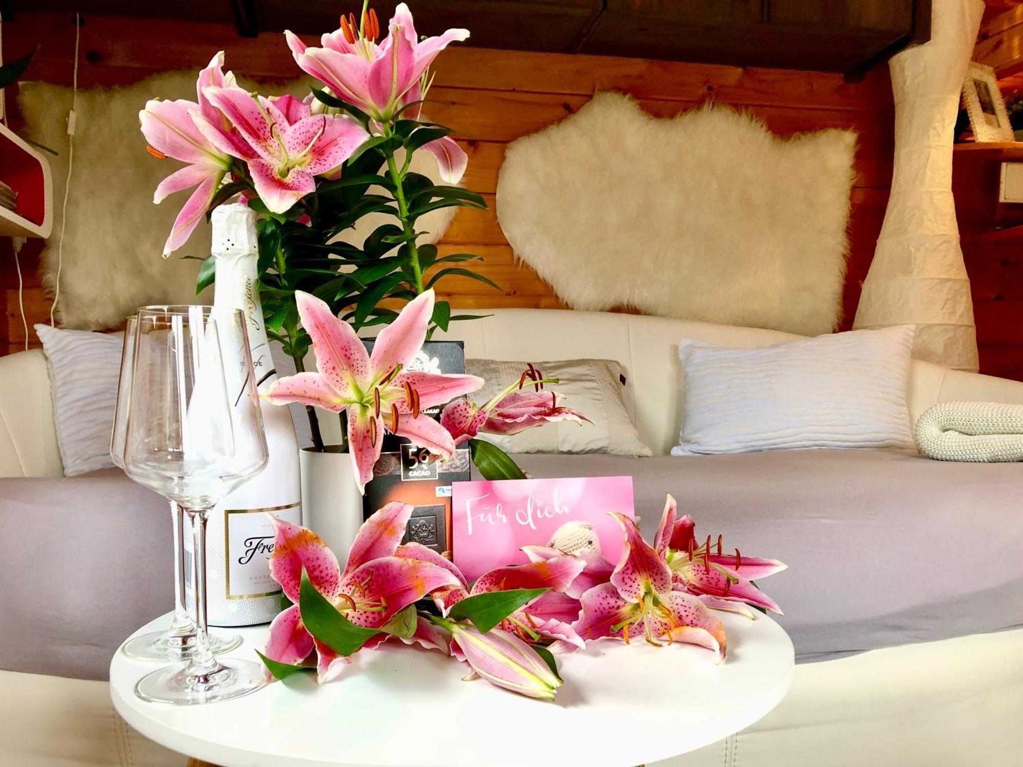 | Garden, Terrace, Nature Vakantiehuis *